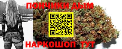 кокс Можга