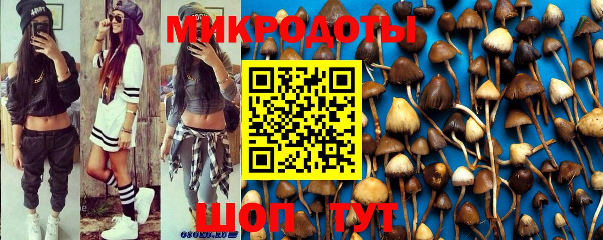 Галлюциногенные грибы мухоморы Фрязино
